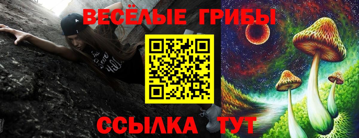 Кемерово  Псилоцибиновые грибы Magic Shrooms  Вход с VPN  Псилоцибиновые грибы Magic Shrooms 