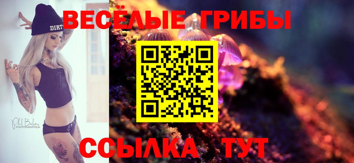 Галлюциногенные грибы мицелий Кемерово